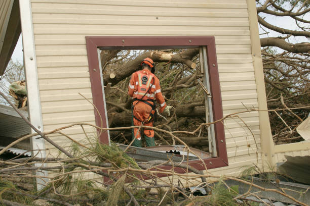 How Our Tree Care Process Works  in  Lawrenceburg, TN